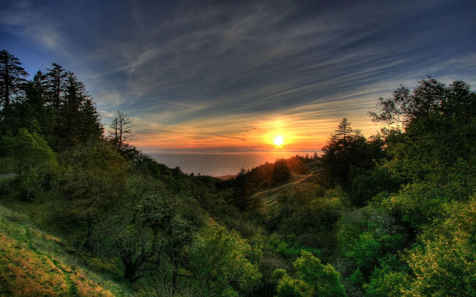 A bright sun sets over the ocean, framed by lush green trees and rolling hills.