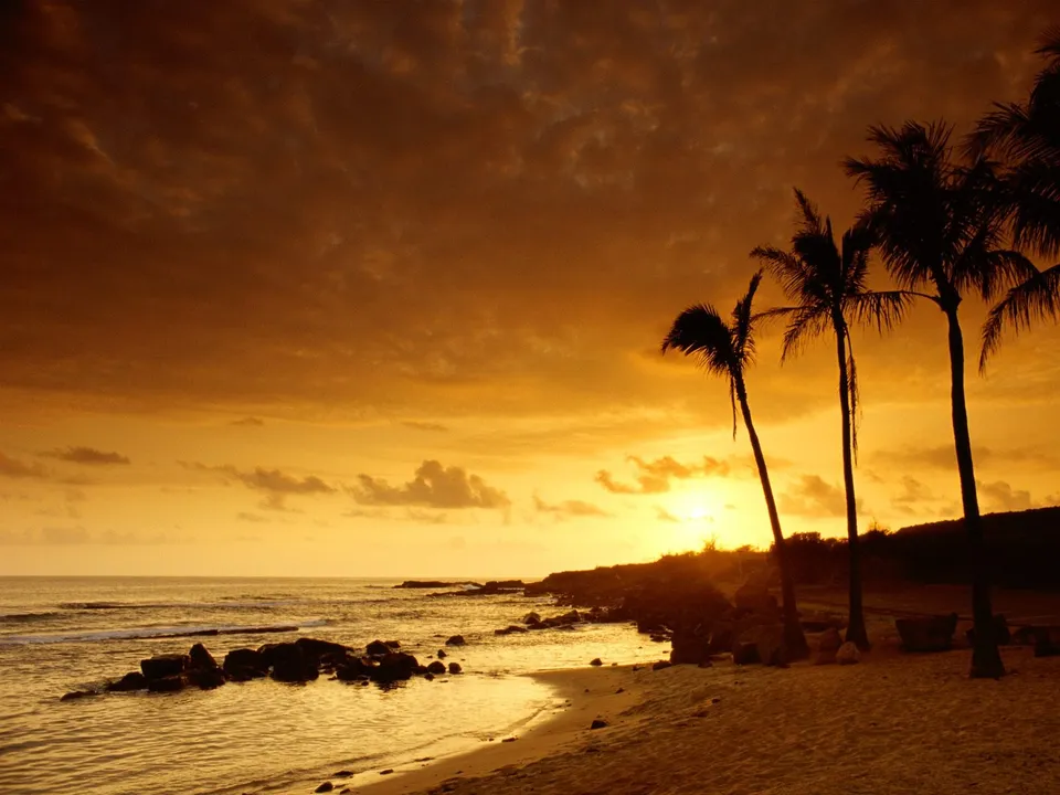 Palm trees frame a golden sunset over a beach with scattered rocks and gentle waves.