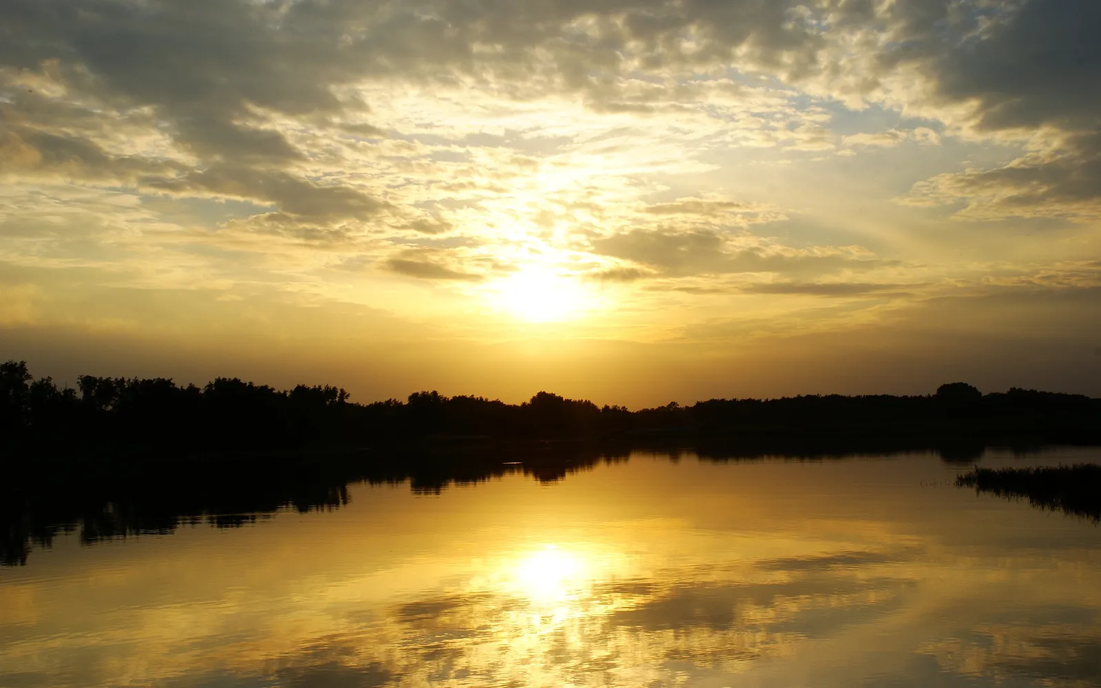 A golden sunset reflects on a calm lake with silhouetted trees on the horizon.