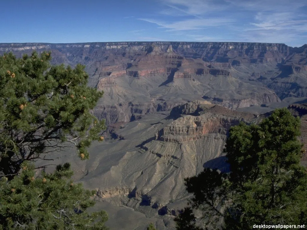 A wide view of the Grand Canyon with layered rock formations and pine trees in the foreground.