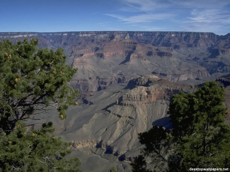 A wide view of the Grand Canyon with layered rock formations and pine trees in the foreground.