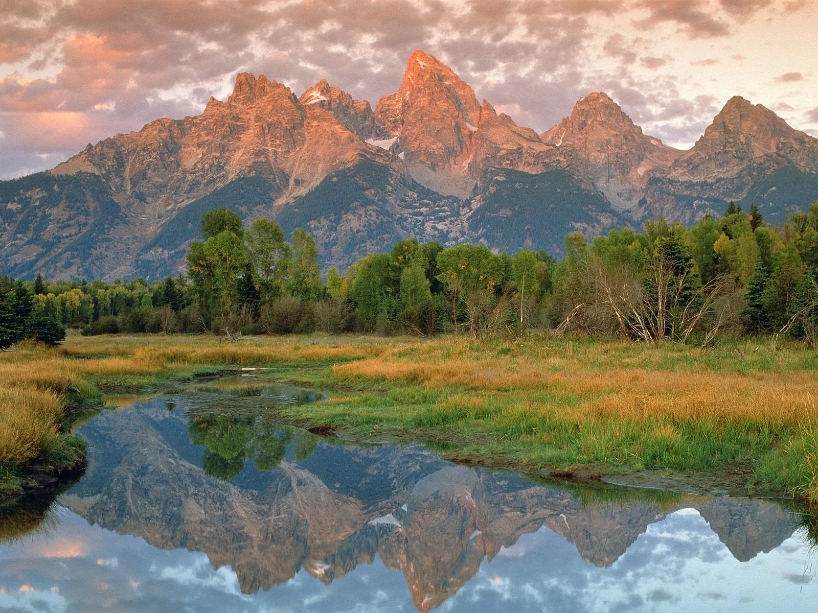 The Grand Teton mountains are reflected in a calm body of water, with trees and golden grass in the foreground.