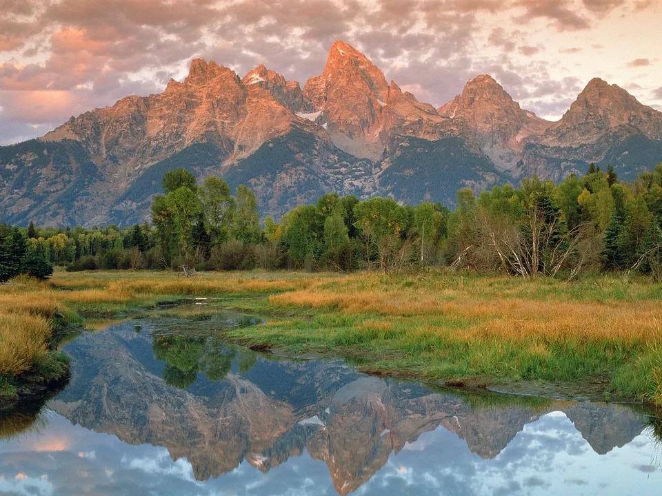 The Grand Teton mountains are reflected in a calm body of water, with trees and golden grass in the foreground.