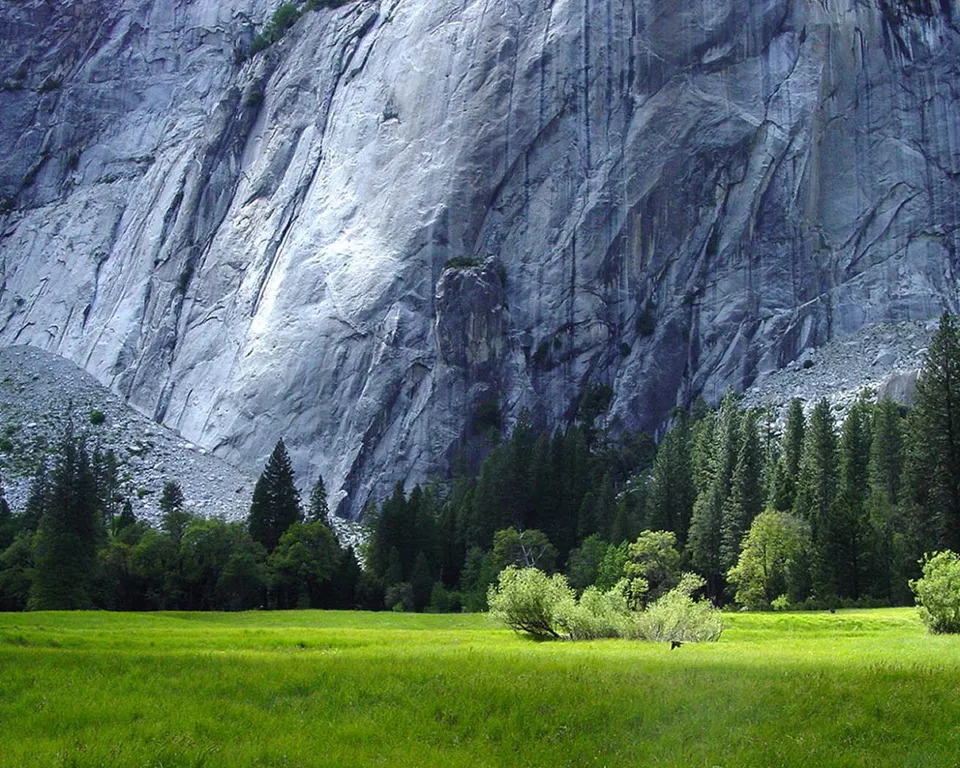 A massive, textured granite cliff face looms over a vibrant green meadow with a dense forest in the midground.