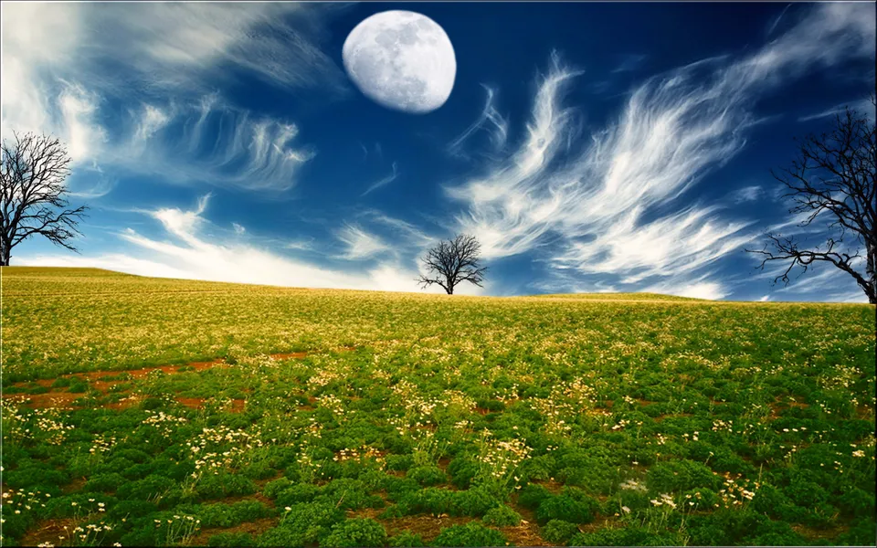 A wide grassy field with scattered white flowers under a deep blue sky with wispy clouds and a large moon.