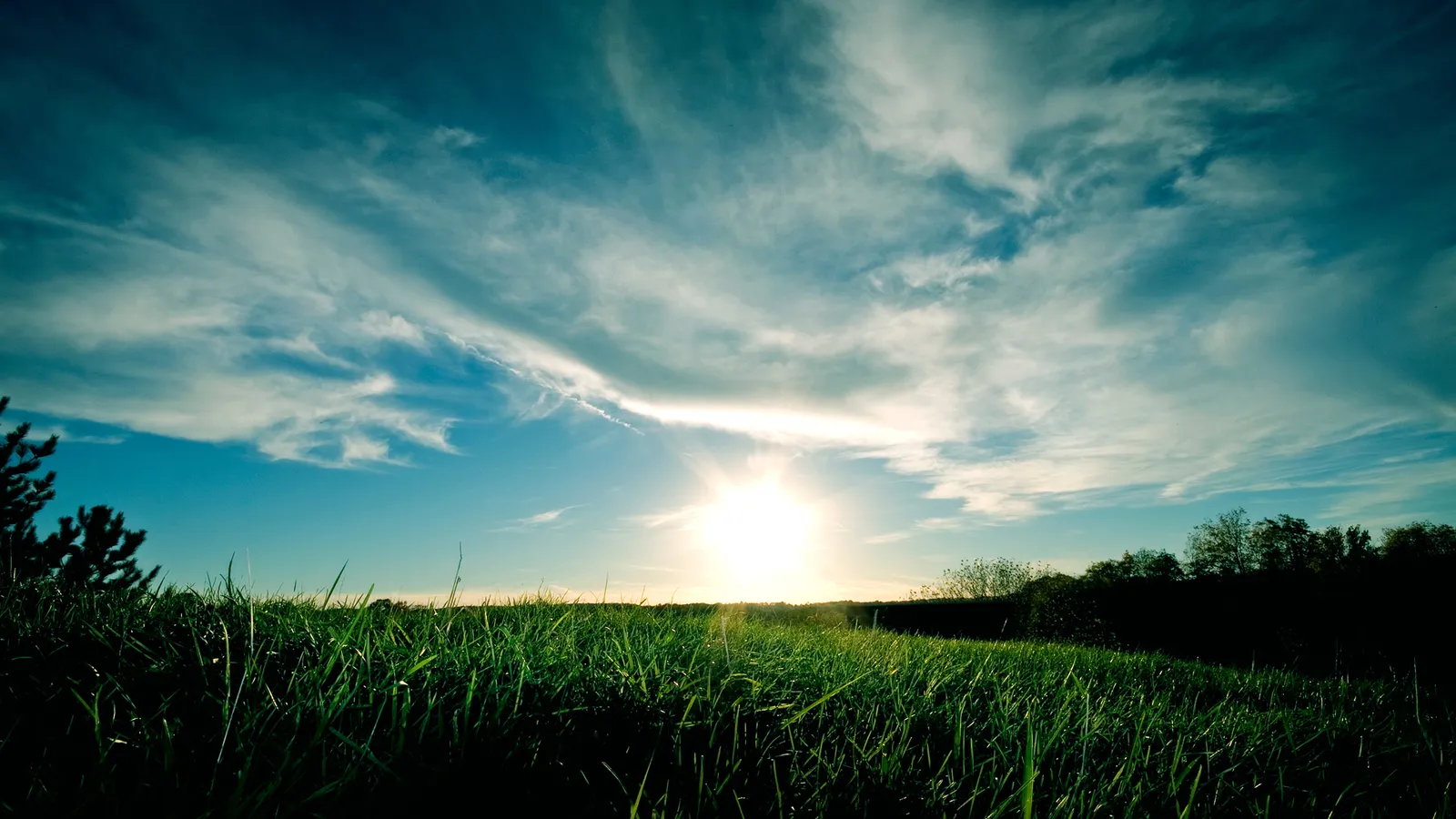 A bright sun rises over a green grassy field with wispy clouds in a blue sky.