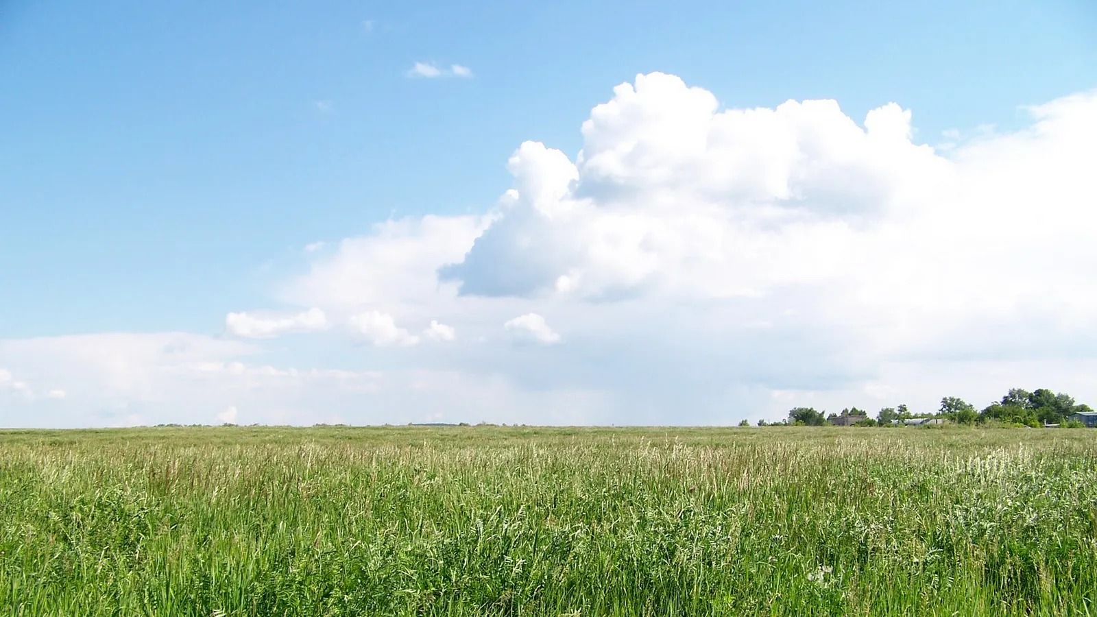 A wide, green grassy field stretches to the horizon under a bright blue sky with large, fluffy white clouds.