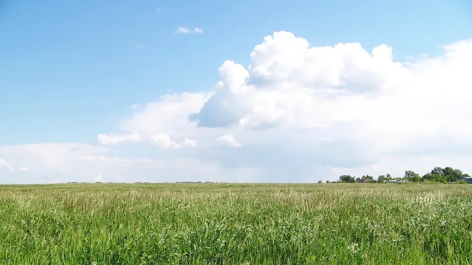 A wide, green grassy field stretches to the horizon under a bright blue sky with large, fluffy white clouds.