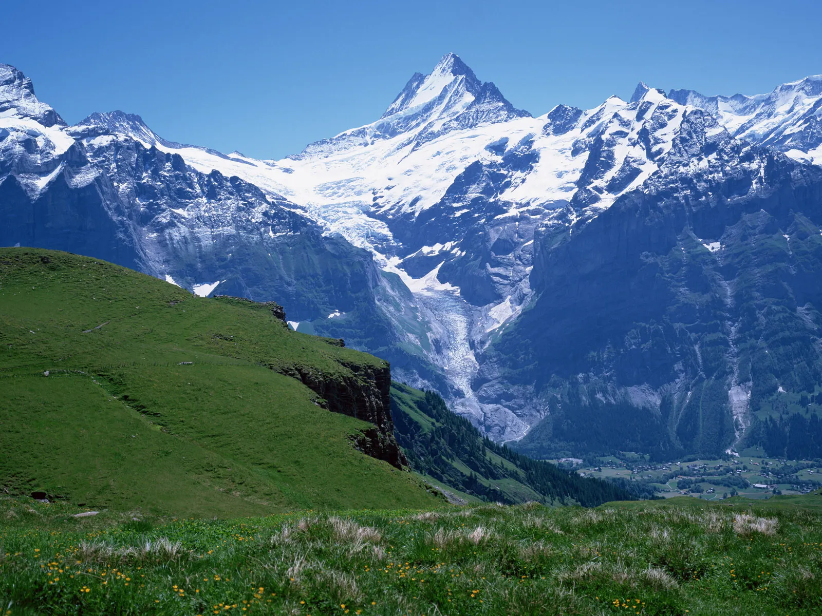 A vibrant green hillside slopes towards a massive, snow-covered mountain range with a prominent glacier under a clear blue sky.