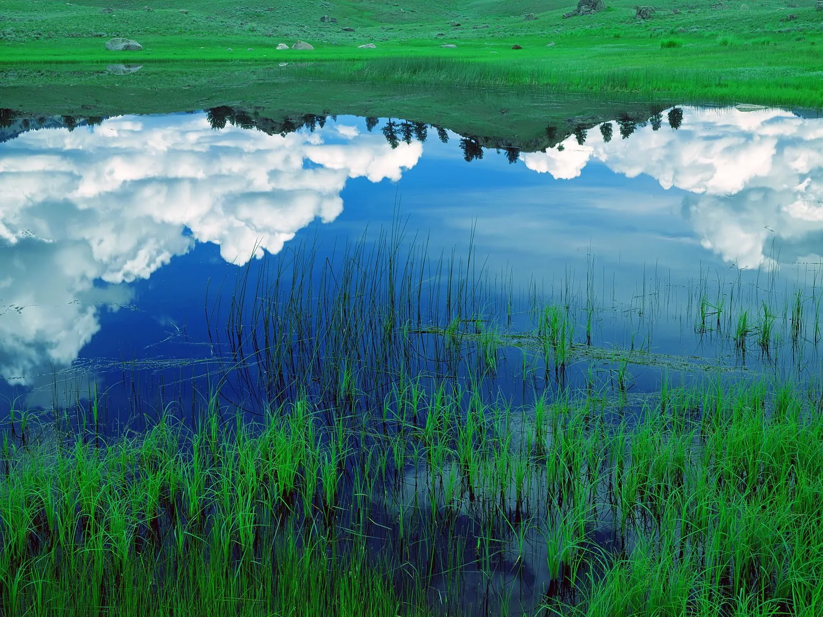 A calm lake perfectly reflects fluffy white clouds and green rolling hills.