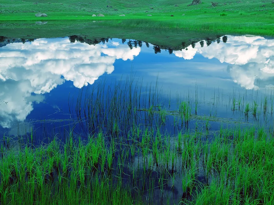 A calm lake perfectly reflects fluffy white clouds and green rolling hills.