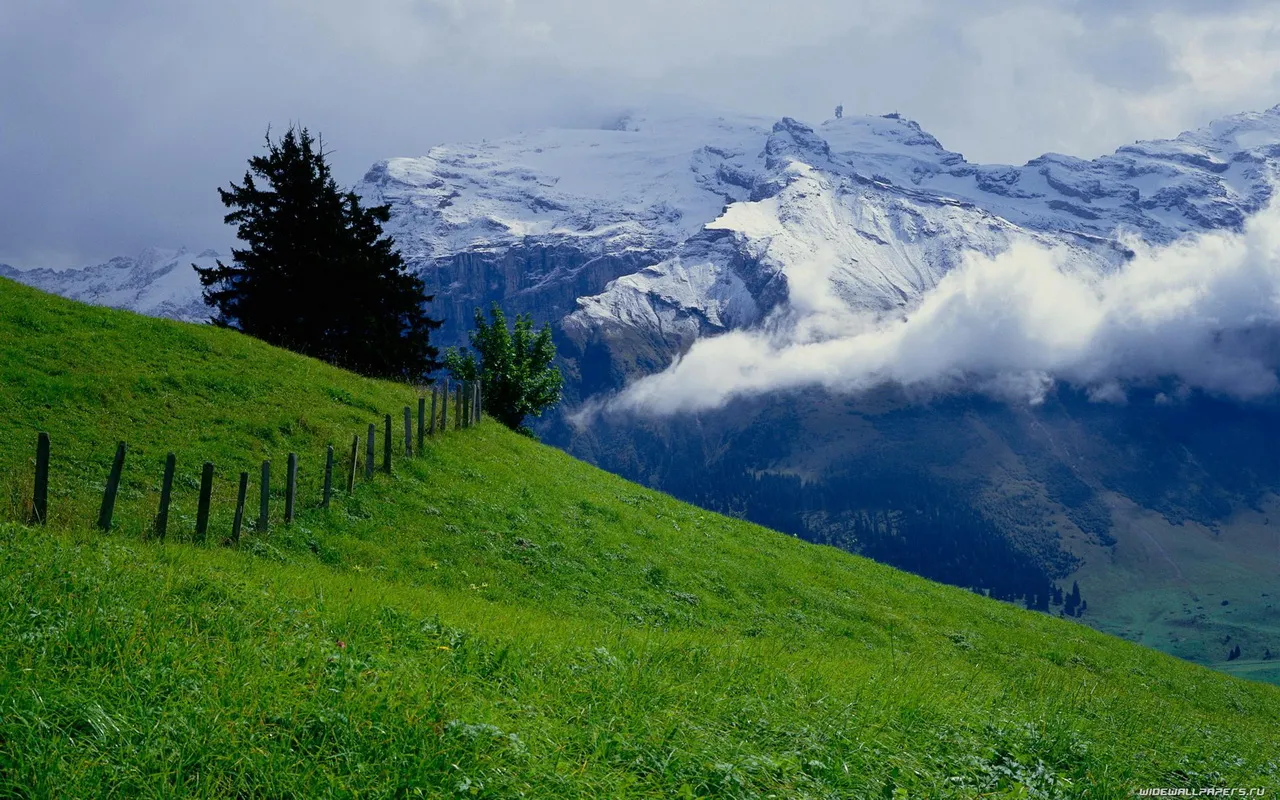 A vibrant green grassy slope leads up towards majestic snow-covered mountains under a cloudy sky.