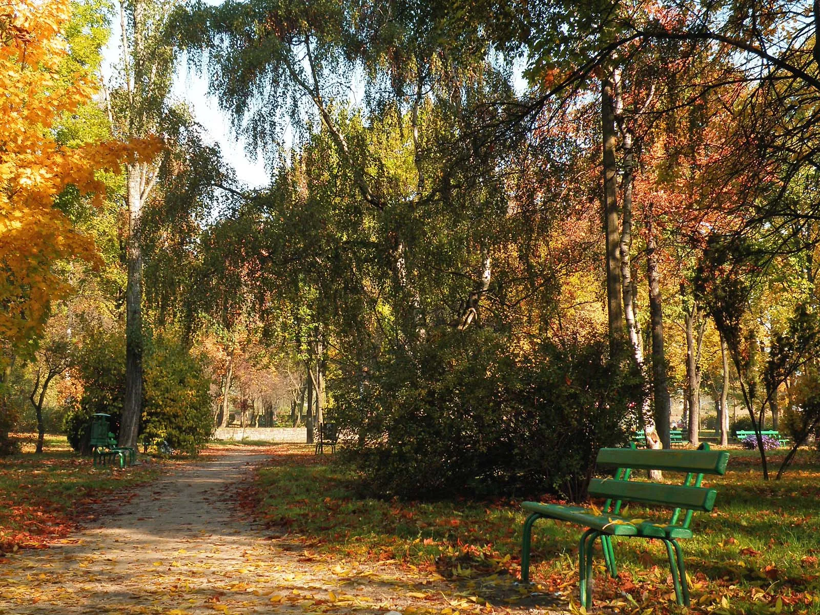 A park path lined with fallen leaves and green benches under autumn trees.