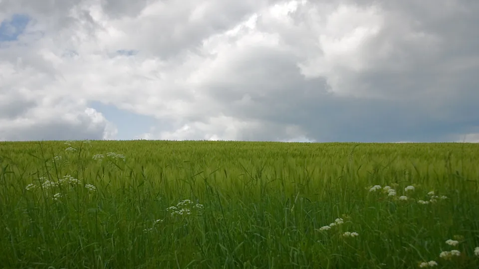 A wide expanse of green grass and wildflowers stretches towards a horizon under a sky filled with dramatic, dark clouds and patches of blue.