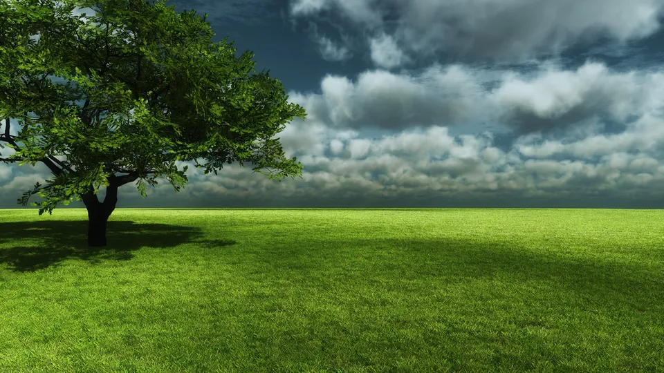 A single green tree stands in a vast, vibrant green field under a dramatic sky with dark, textured clouds.
