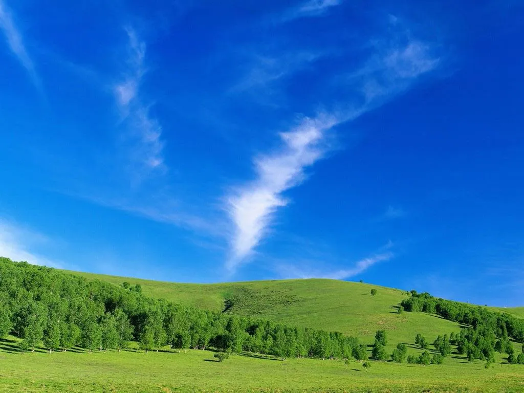 A rolling green hillside covered in trees under a vibrant blue sky with wispy white clouds.