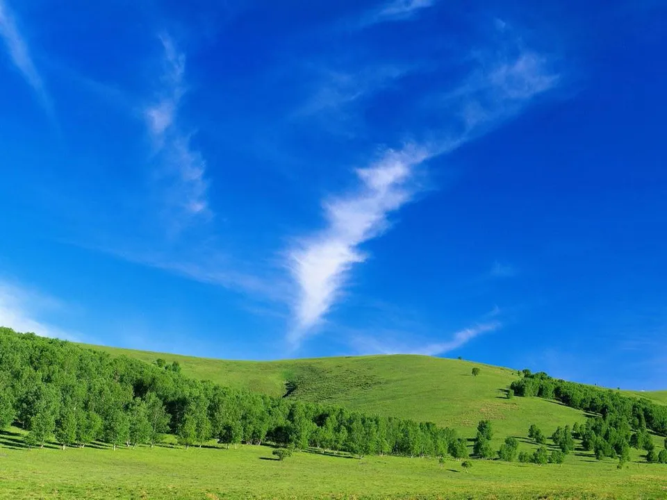 A rolling green hillside covered in trees under a vibrant blue sky with wispy white clouds.