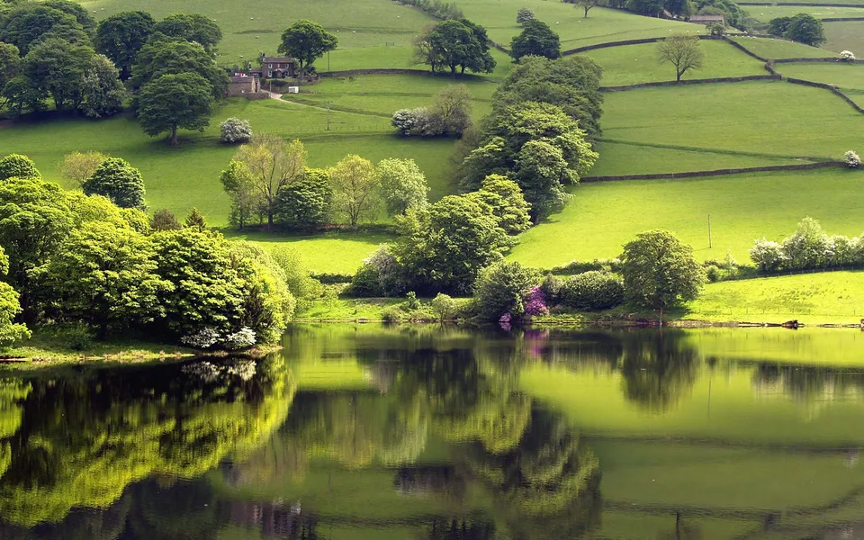A calm lake reflects lush green hills dotted with trees and a distant house.