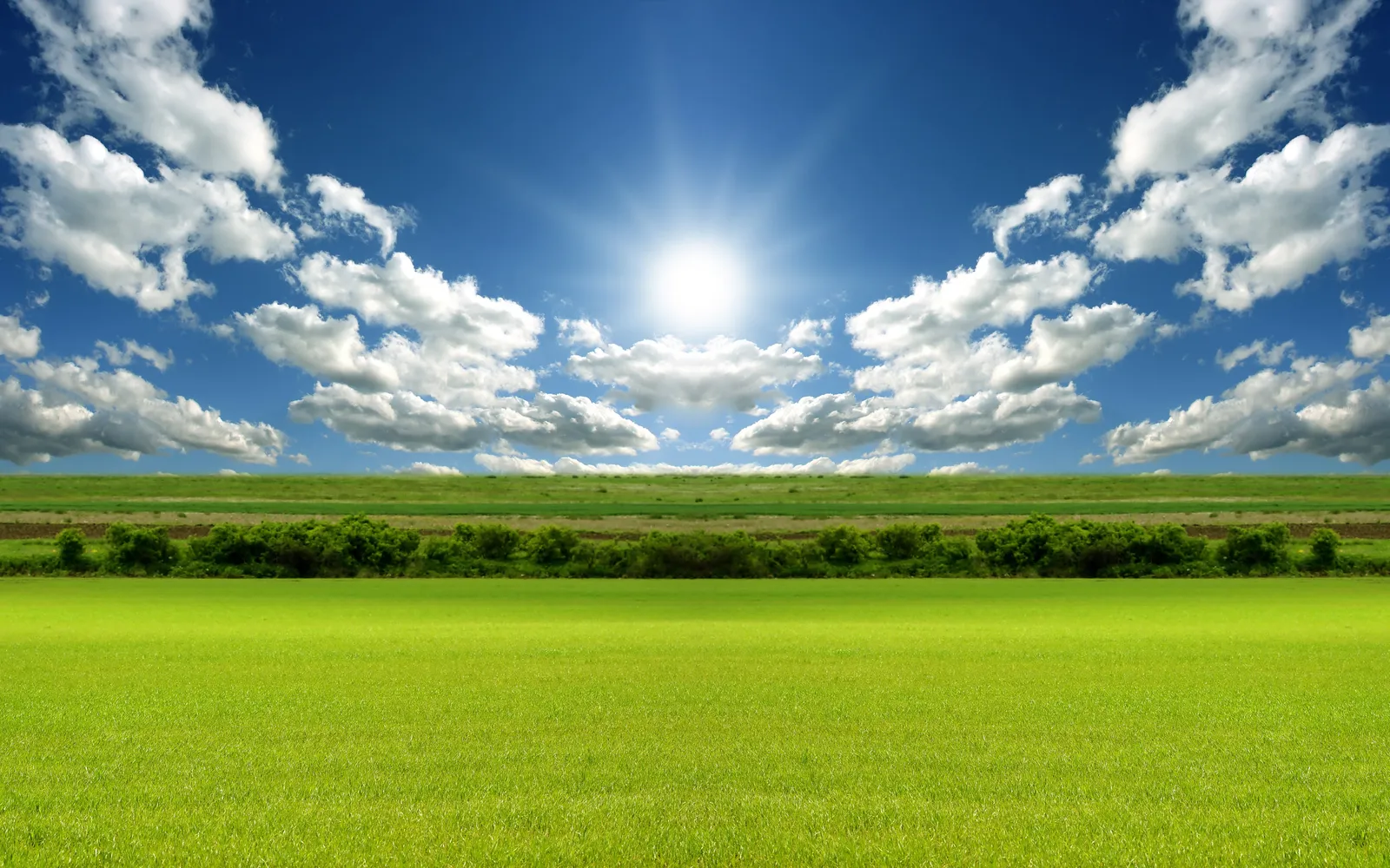 A bright sun shines in a blue sky with fluffy white clouds over a vibrant green field.