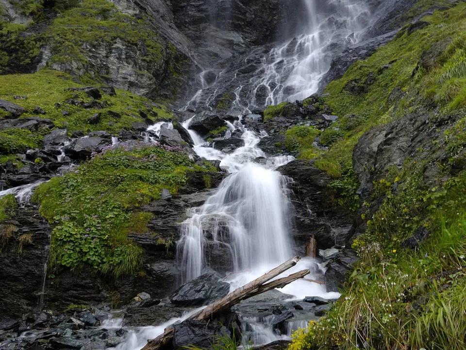 A waterfall flows over dark, wet rocks surrounded by green vegetation and fallen logs.