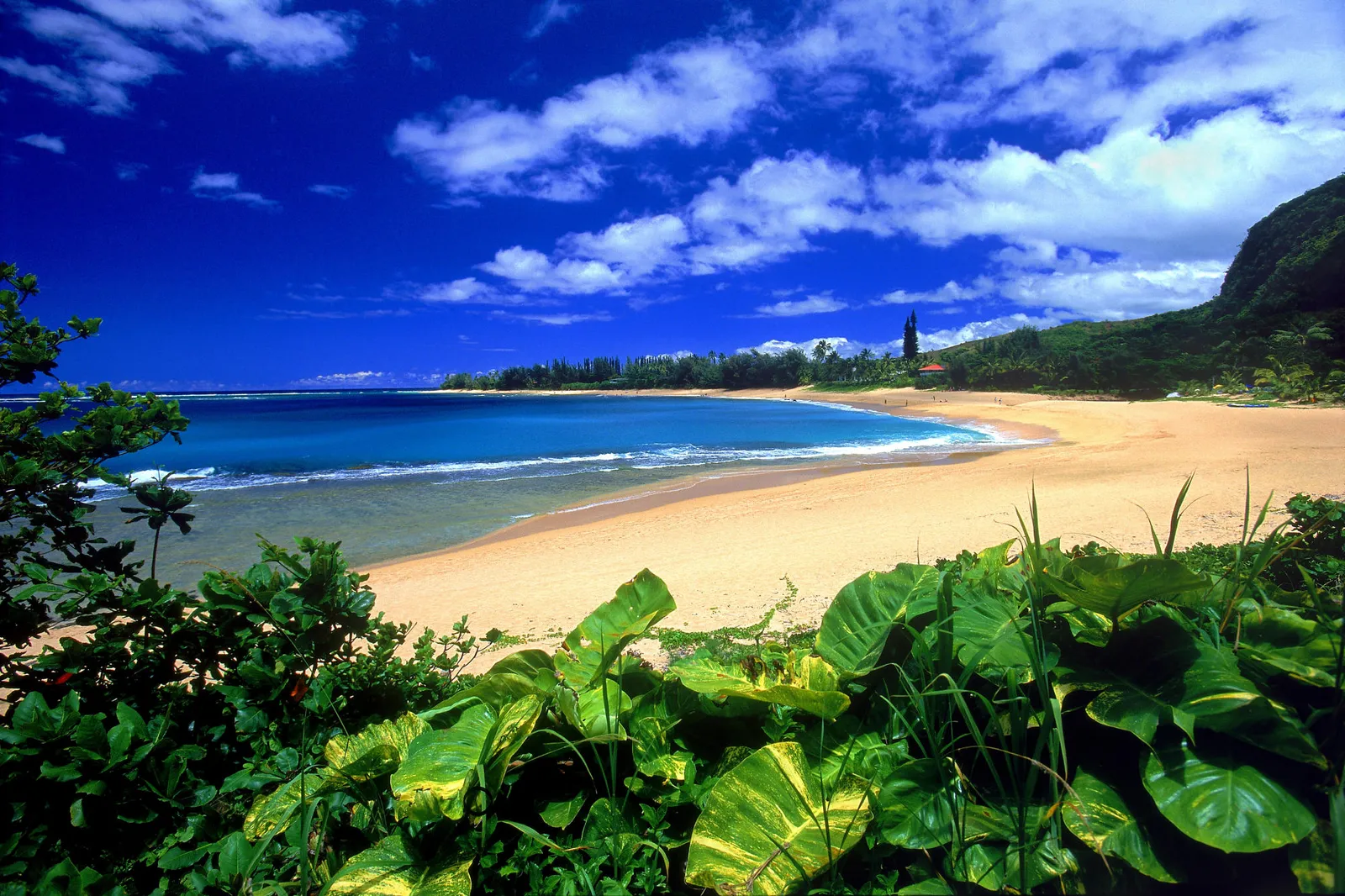 A wide sandy beach curves along a blue ocean under a bright blue sky with white clouds.