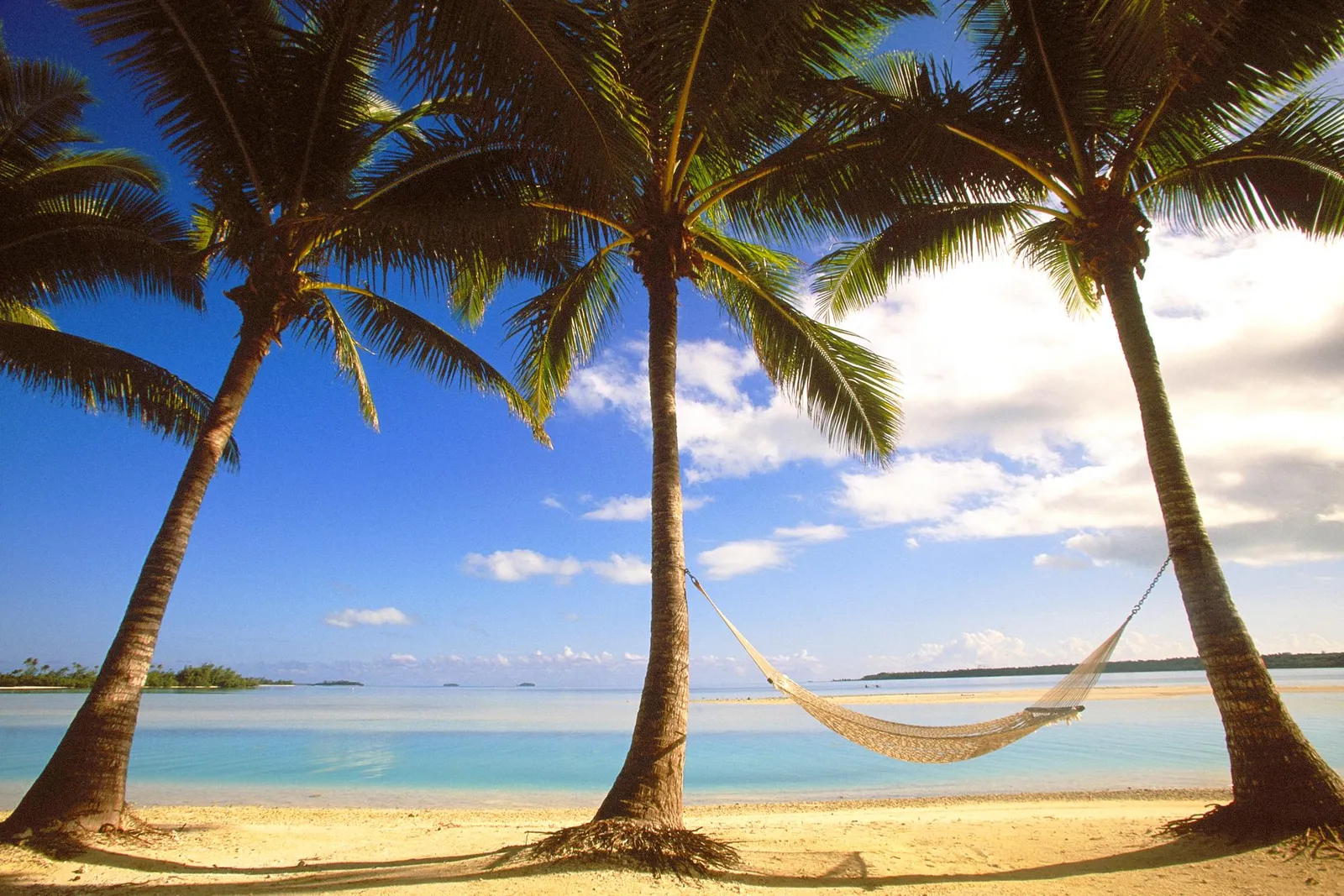 A hammock hangs between two palm trees on a tropical beach with clear turquoise water.