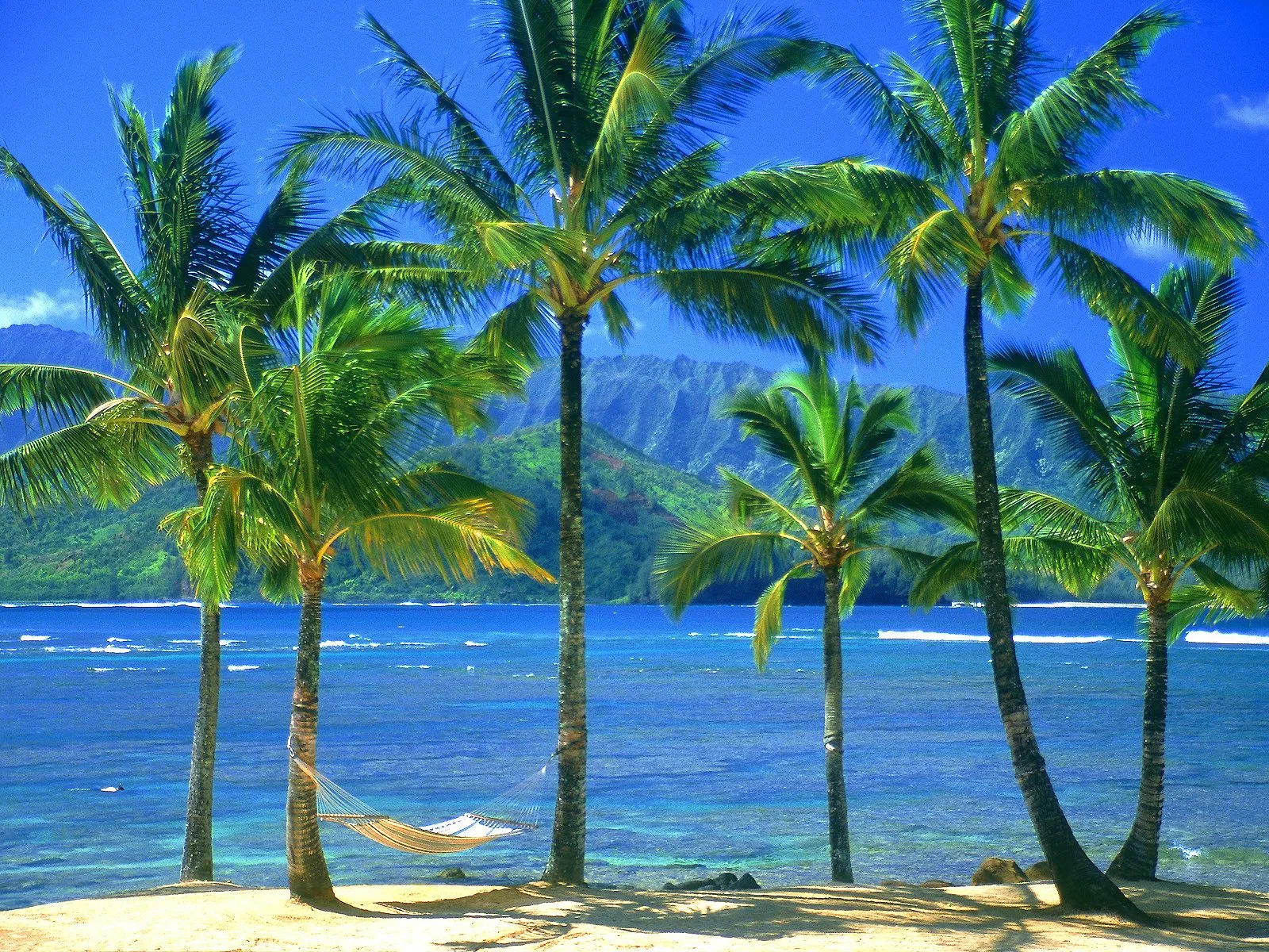 A hammock hangs between palm trees on a tropical beach with lush mountains in the distance.