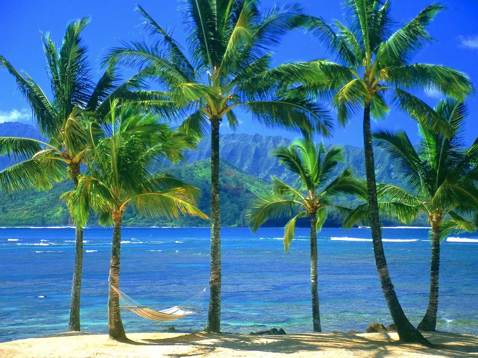 A hammock hangs between palm trees on a tropical beach with lush mountains in the distance.