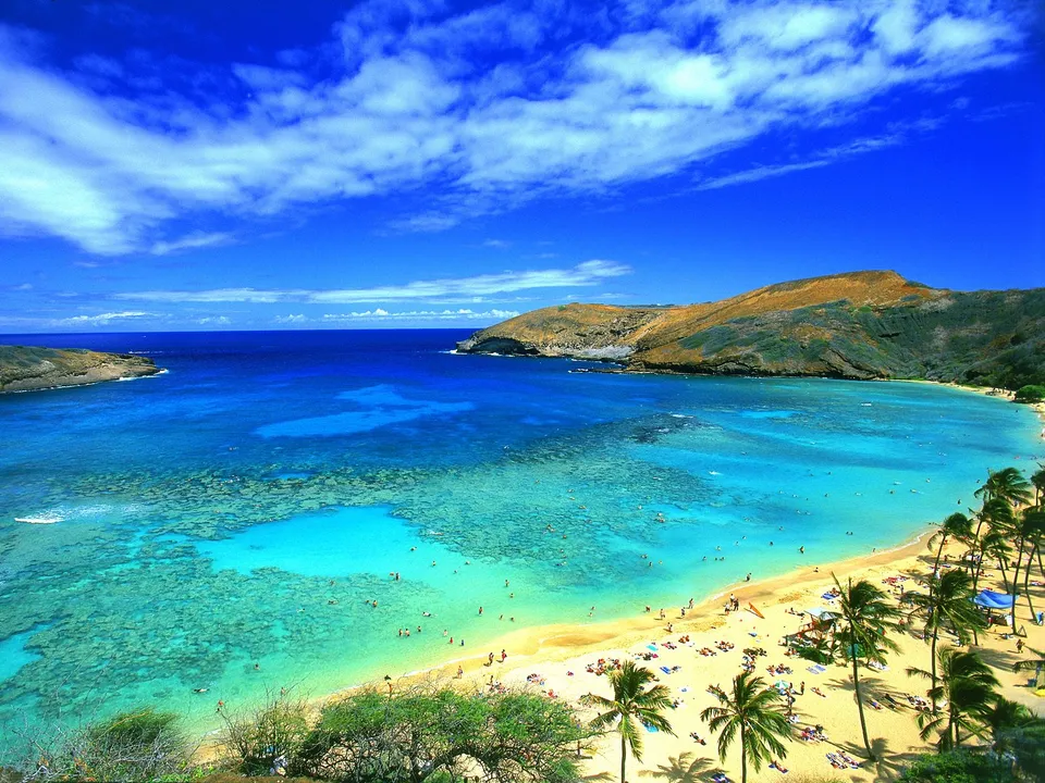 A vibrant tropical beach with golden sand, palm trees, and clear turquoise waters under a bright blue sky with clouds.