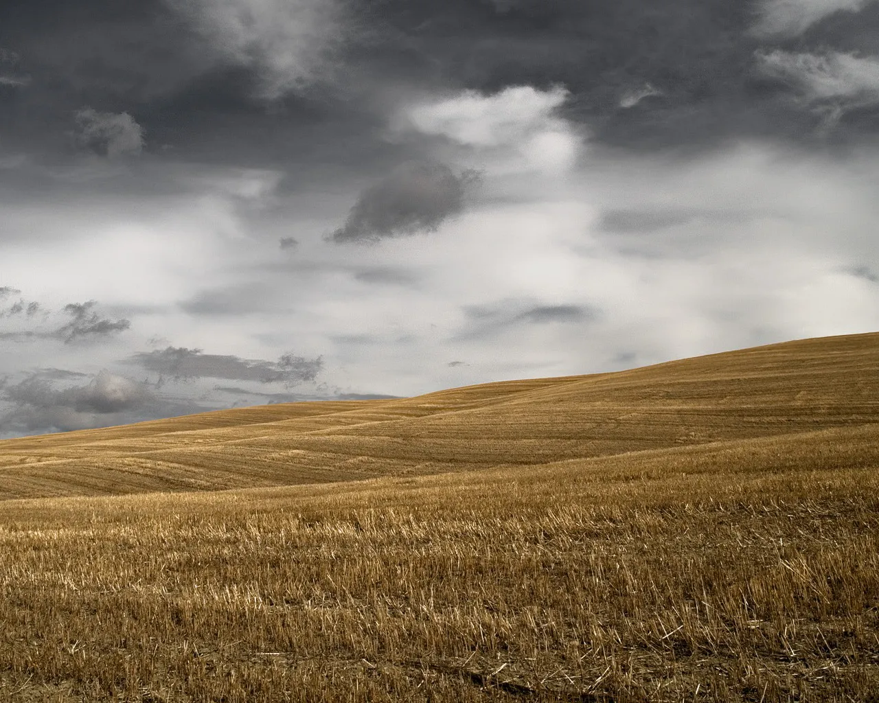 A vast, golden harvested field stretches towards rolling hills under a dramatic, cloudy sky.