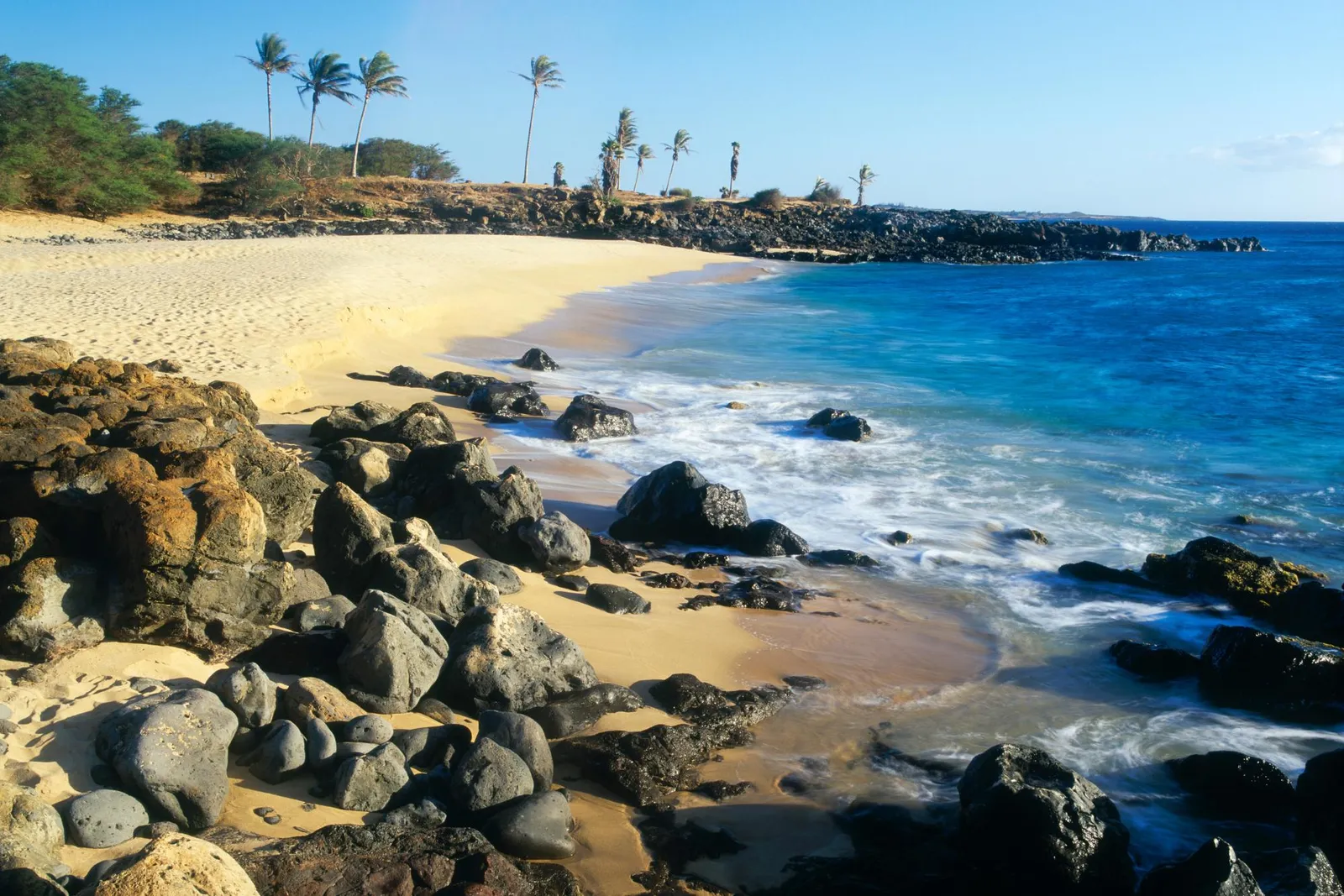 A scenic view of a tropical beach with golden sand, dark volcanic rocks, and palm trees under a clear blue sky.