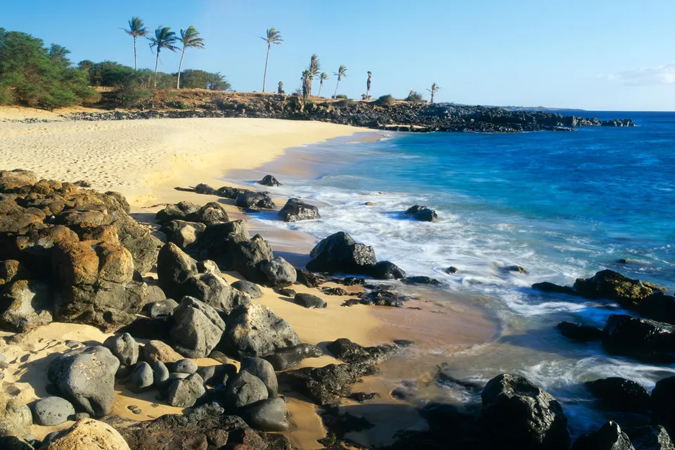 A scenic view of a tropical beach with golden sand, dark volcanic rocks, and palm trees under a clear blue sky.