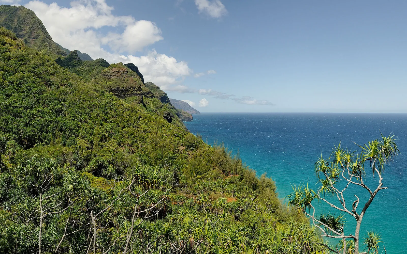 A view of lush green mountains meeting the vibrant blue ocean under a partly cloudy sky.