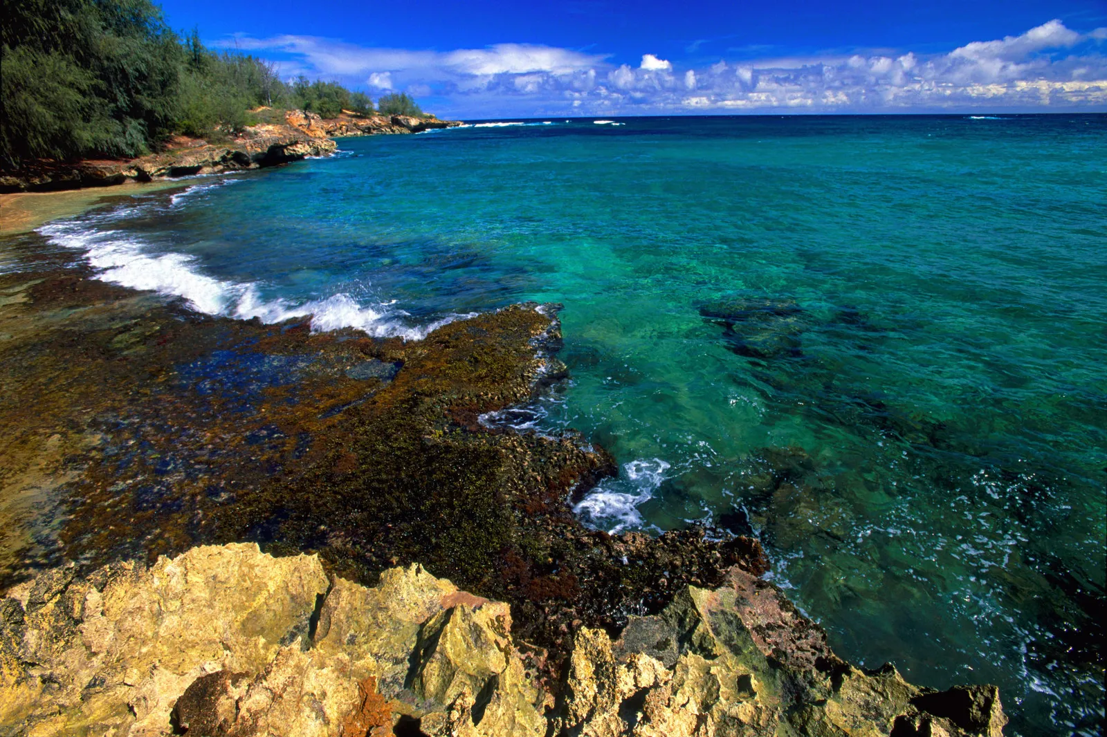 A rocky coastline with vibrant turquoise water lapping against the shore under a bright blue sky.