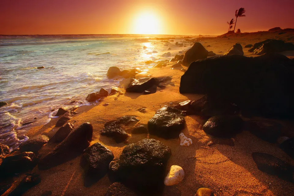 A vibrant sunset casts a golden glow over a rocky Hawaiian beach with gentle waves lapping the shore.