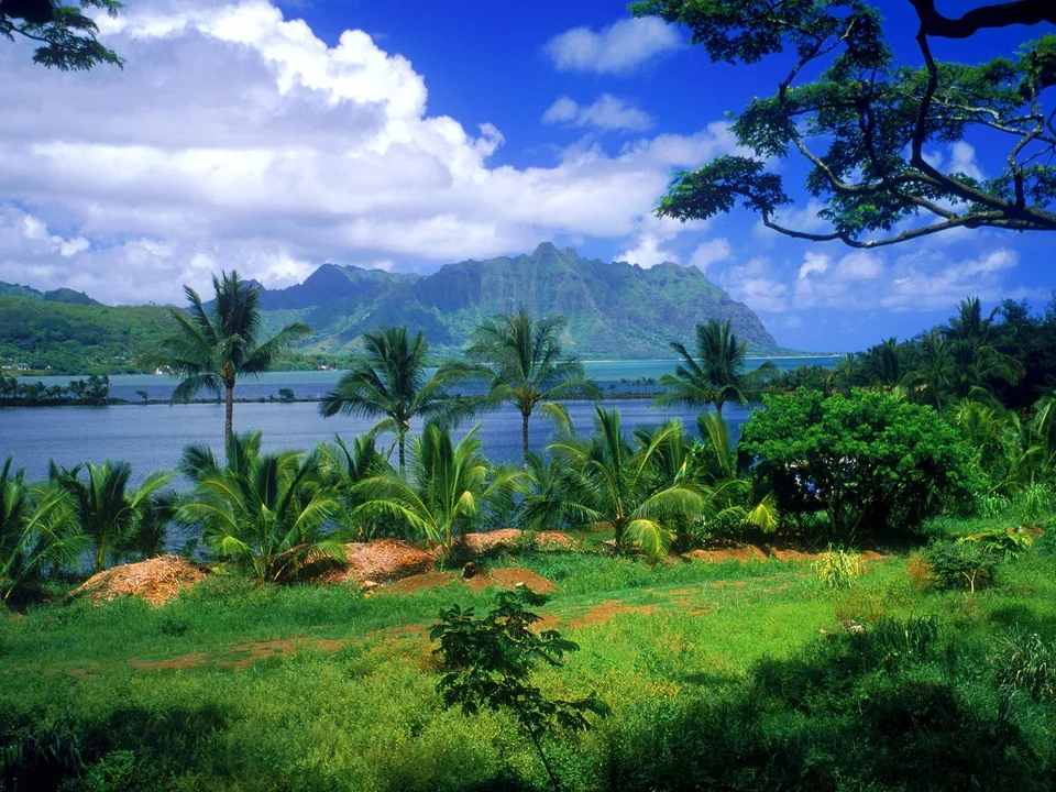 A vibrant tropical landscape with lush green vegetation, palm trees, a calm body of water, and majestic mountains under a blue sky with clouds.