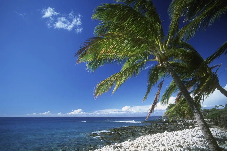 Palm trees frame a view of a rocky beach with white pebbles and the blue ocean under a clear sky.