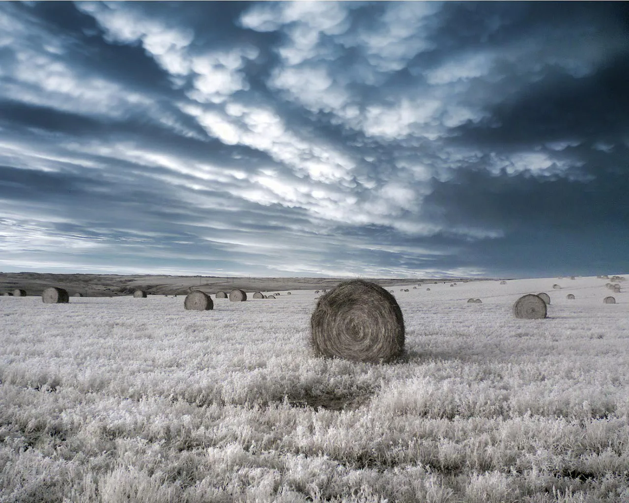 Round hay bales sit in a field under a dramatic, cloudy sky.