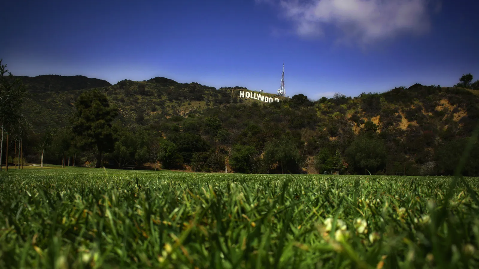 The famous Hollywood sign is visible on a green, hilly landscape under a bright blue sky with scattered clouds.