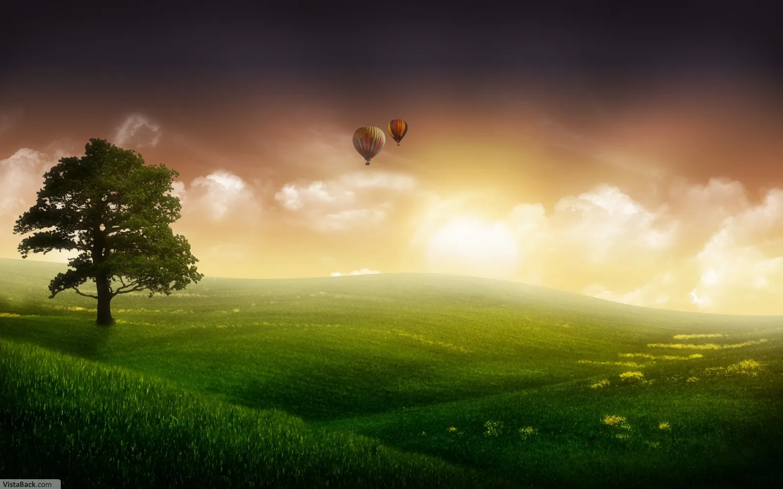 Two hot air balloons float in a dramatic sky above lush green hills and a large tree.