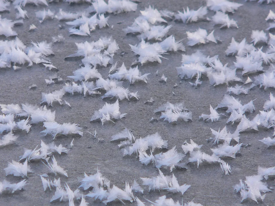 Close-up of delicate white ice crystals forming intricate patterns on a grey, frozen surface.