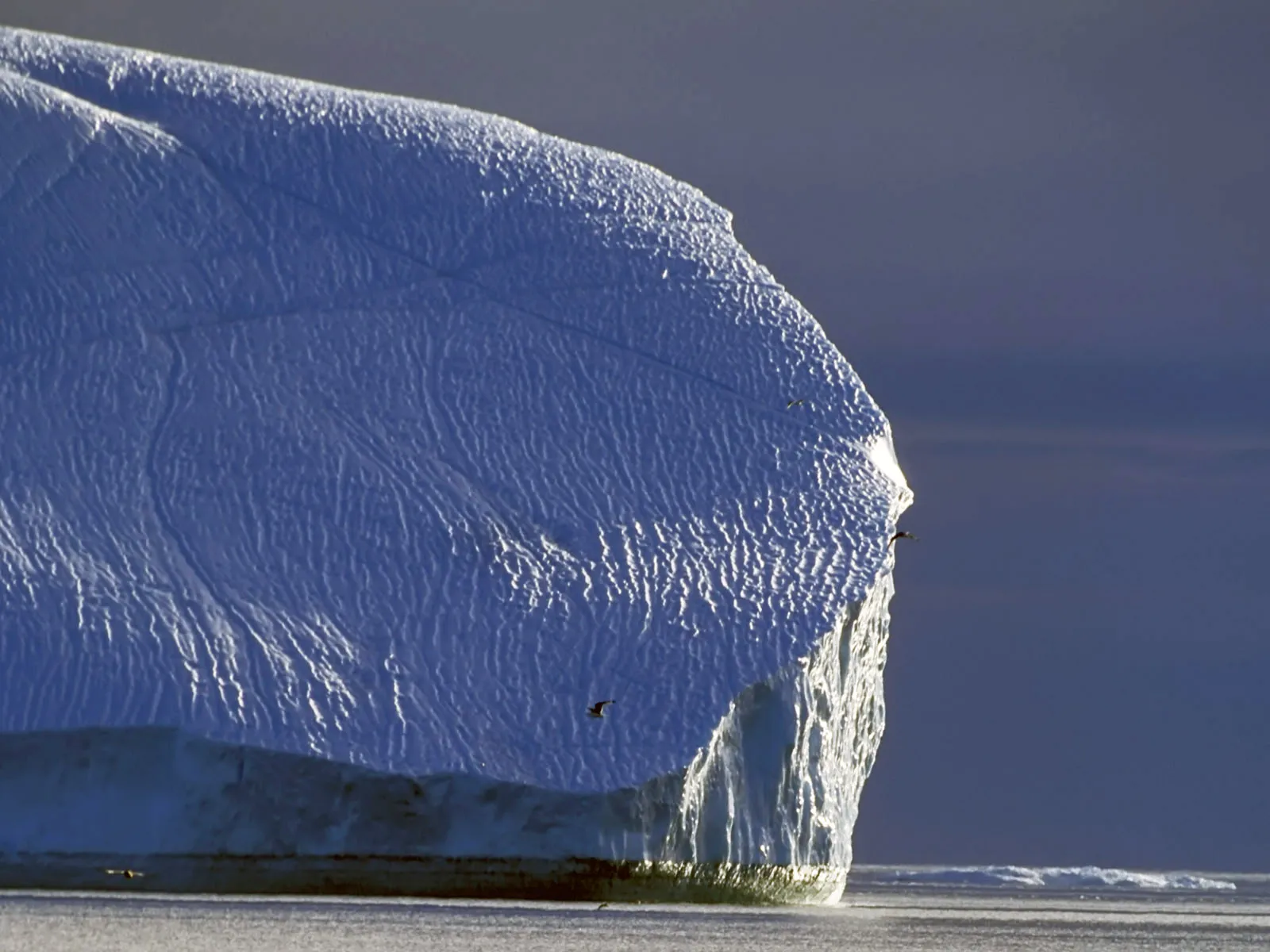 A massive iceberg with textured surfaces stands in calm water under a dusky sky, with birds flying nearby.
