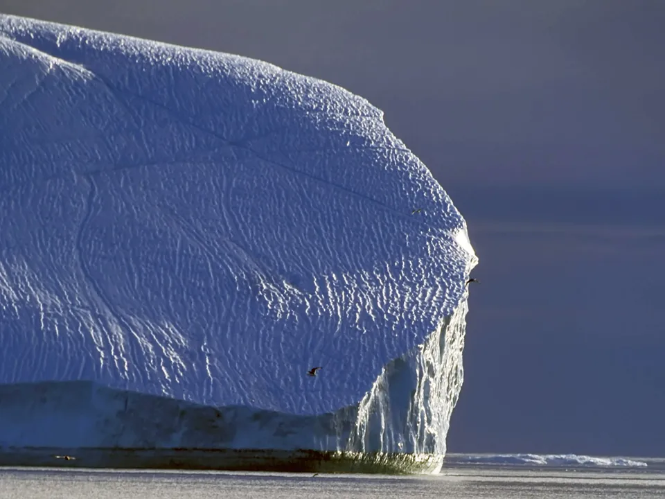 A massive iceberg with textured surfaces stands in calm water under a dusky sky, with birds flying nearby.