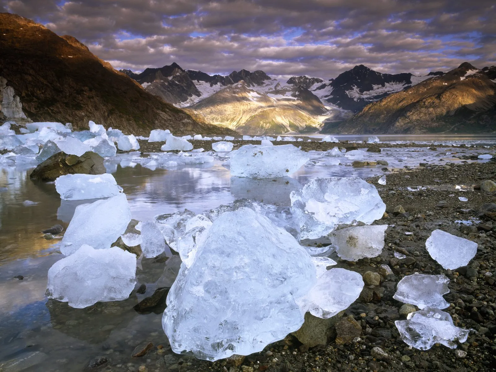Large chunks of ice float in a calm bay with mountains in the background.