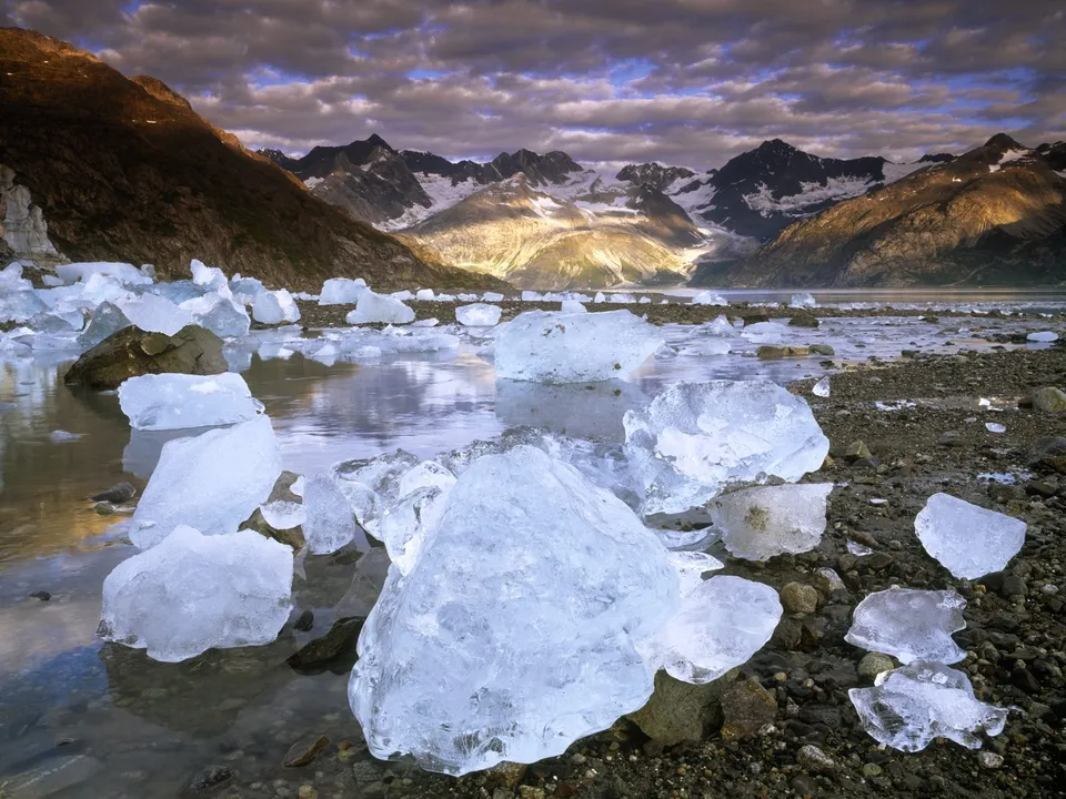 Large chunks of ice float in a calm bay with mountains in the background.