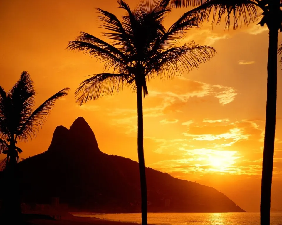 Silhouetted palm trees and a distinctive mountain peak against a fiery orange sunset sky over the ocean.
