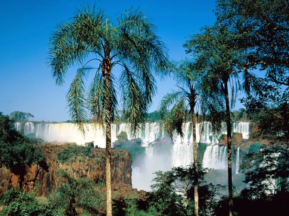 A wide waterfall cascades down a cliff face, framed by palm trees and lush green foliage under a clear blue sky.