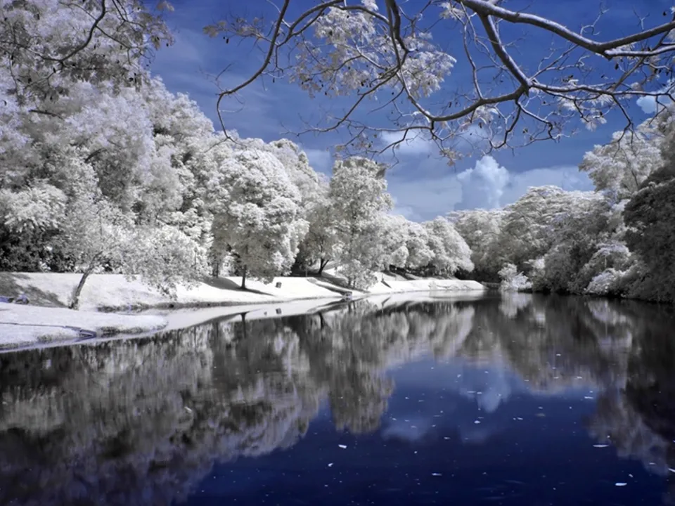 An infrared photograph shows a calm lake reflecting white trees and a blue sky with clouds.