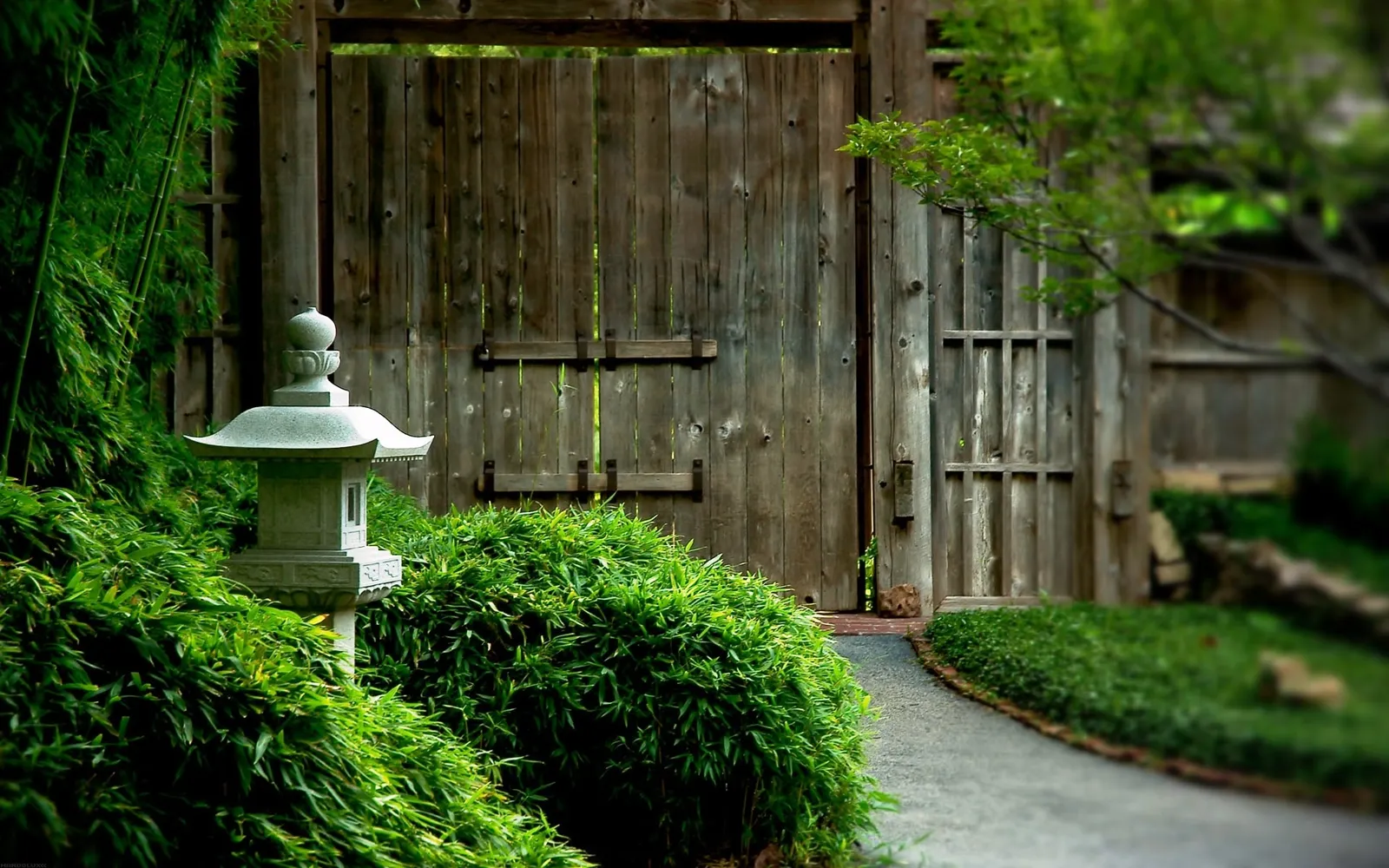 A weathered wooden gate stands open in a lush Japanese garden, with a stone lantern and bamboo in the foreground.