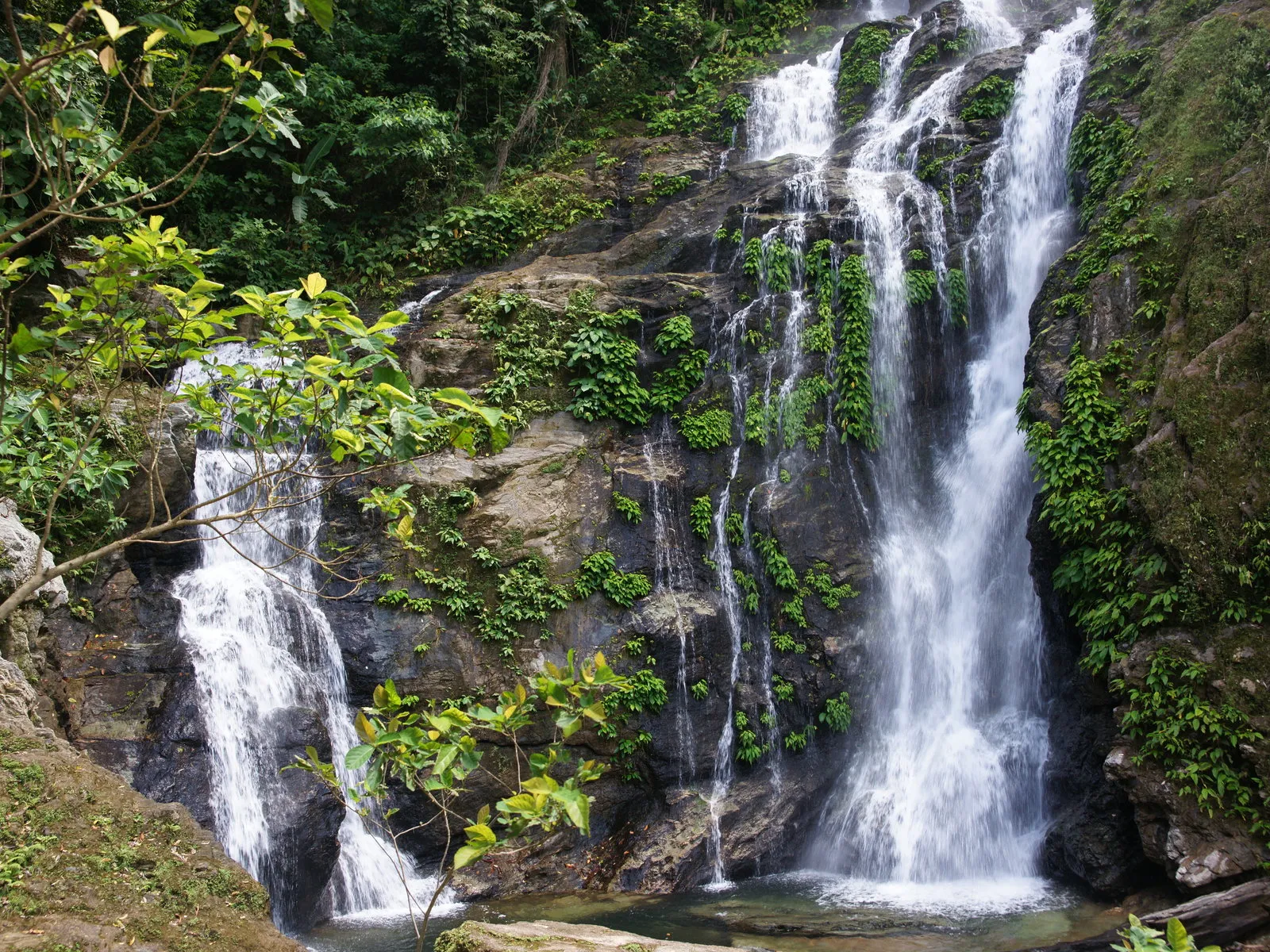 A multi-tiered waterfall cascades down a rocky cliff face covered in lush green vegetation.